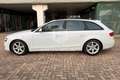 Audi A4 A4 Avant 2.0 TDI 143CV F.AP. mult. Business Weiß - thumbnail 8