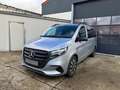 Mercedes-Benz Vito 116 -trekhaak -camera -distronic -achterdeuren Argintiu - thumbnail 4