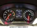 SEAT Ibiza 1.0 TSI DSG FR KLIMAAUT PDC V+H NAVI SHZ Argent - thumbnail 11