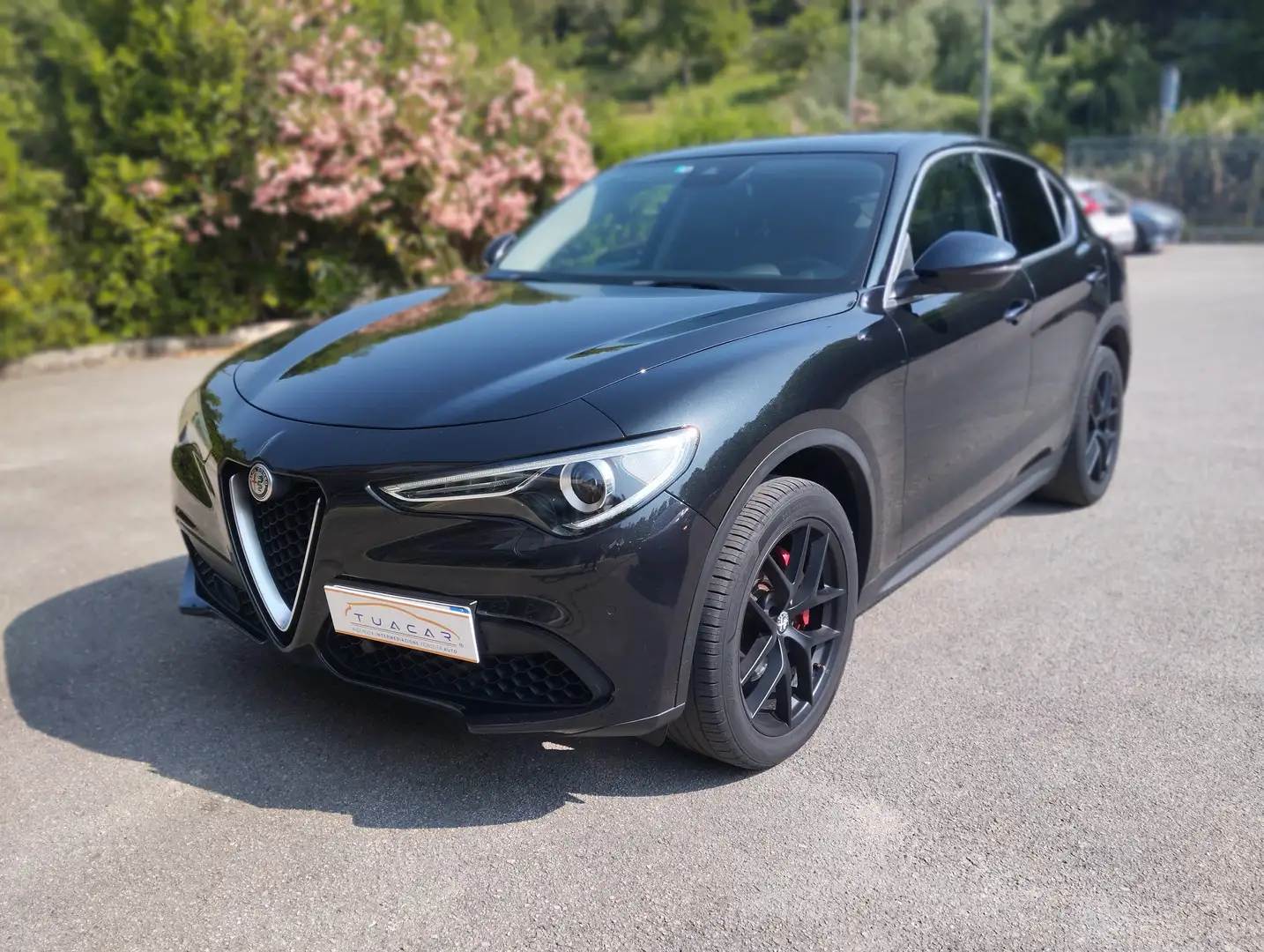 Alfa Romeo Stelvio 2.0 Turbo 280 CV AT8 Q4 Nero - 2