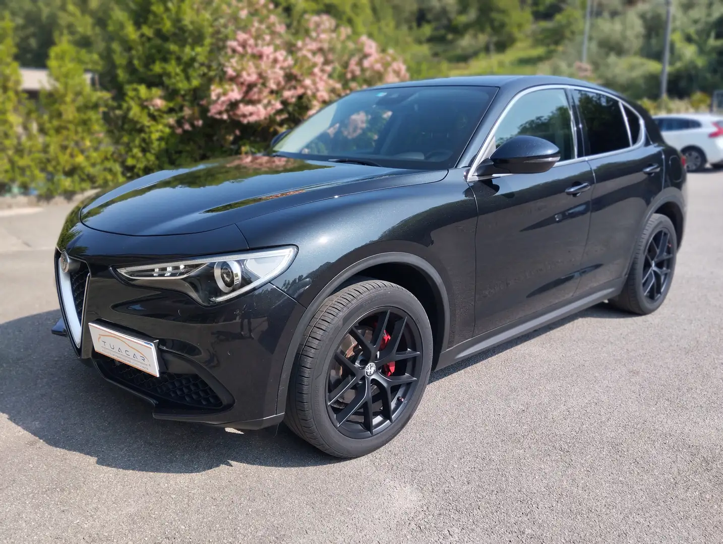 Alfa Romeo Stelvio 2.0 Turbo 280 CV AT8 Q4 Nero - 1