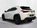 Lexus UX 250h 2.0 Business - thumbnail 2