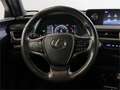 Lexus UX 250h 2.0 Business - thumbnail 13