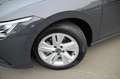 Volkswagen Golf Variant Life TSI  Navi+Shz+App+Lenkrad bhz Gris - thumbnail 19