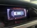 Audi A4 allroad - A4 Allroad 2.0 tdi Advanced 177 Wit - thumbnail 24
