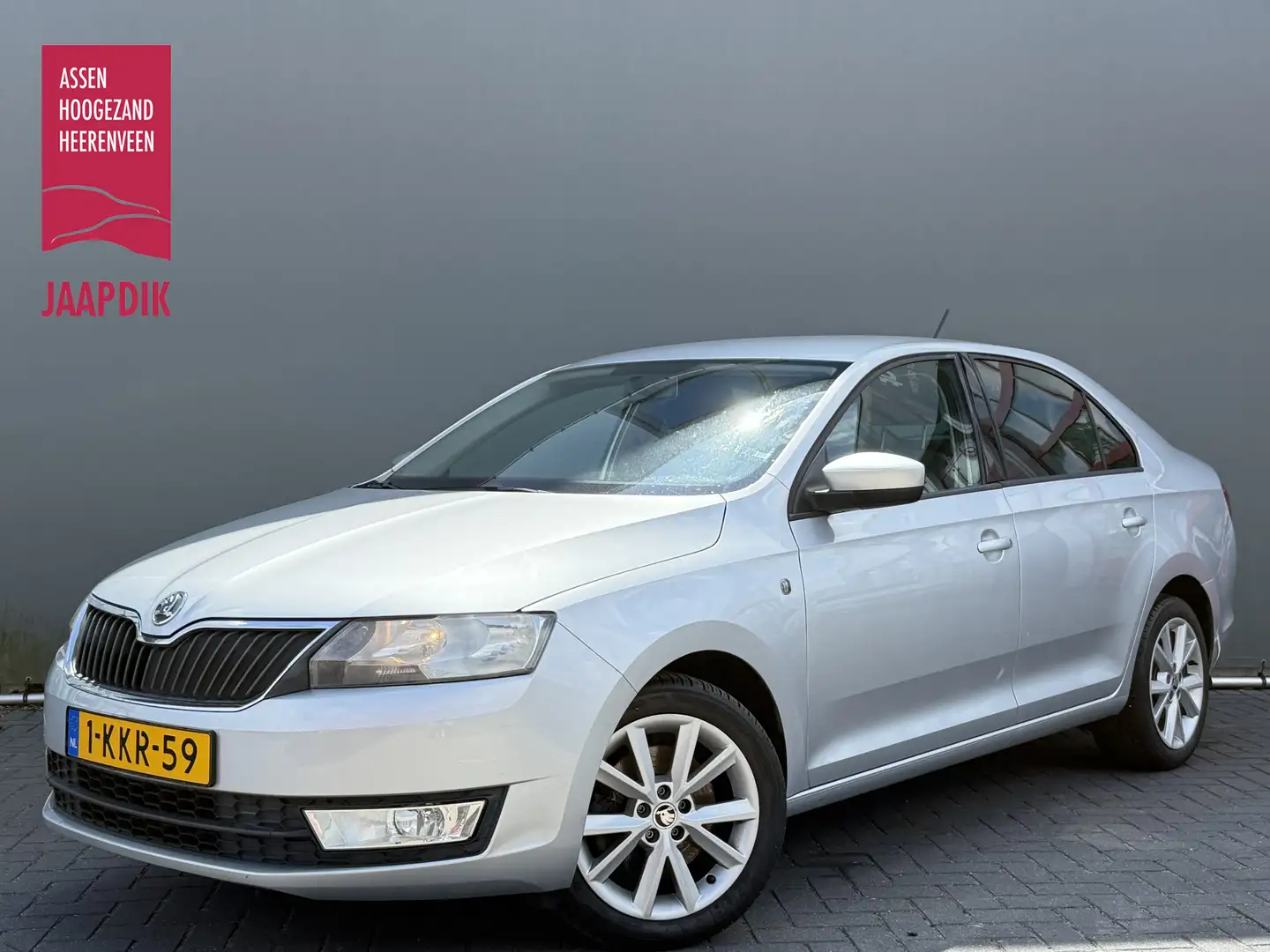 Skoda Rapid/Spaceback BWJ 2013 1.2 TSI 105 PK Greentech Elegance Busines Grijs - 1