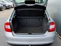 Skoda Rapid/Spaceback BWJ 2013 1.2 TSI 105 PK Greentech Elegance Busines Grijs - thumbnail 22