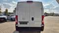 Opel Movano 2.2 BlueHDi 180 L3H2 VA ACC SpurAss StHzg Navi AUT Weiß - thumbnail 3