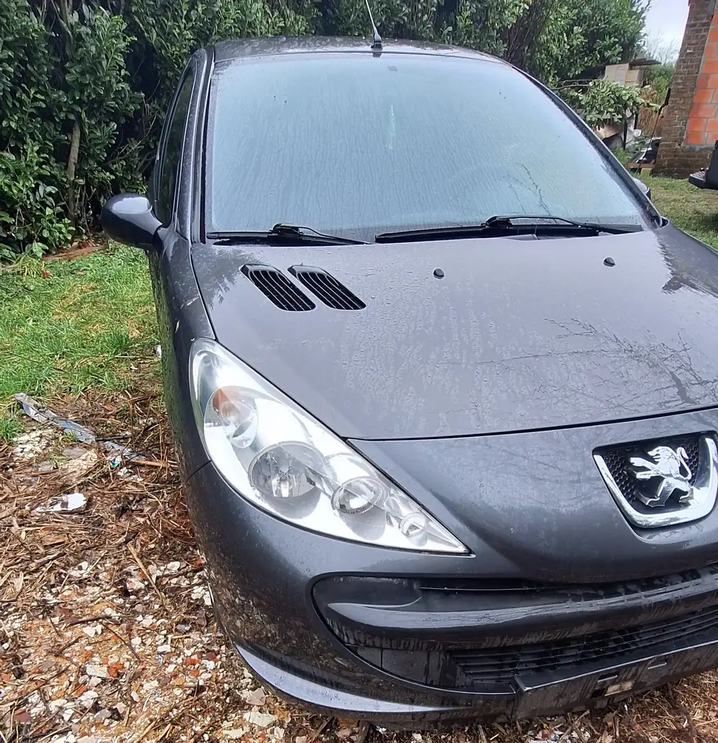 Peugeot 206 206+ 60 Generation - 2