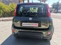 Fiat Panda 0.9 TwinAir Turbo S&S Trekking Verde - thumbnail 4