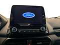 Ford EcoSport 1.0 EcoBoost 125 CV Start&Stop ST-Line Grigio - thumbnail 14