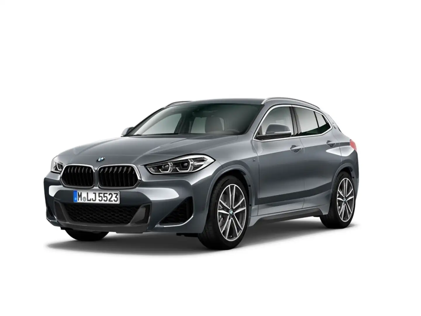 BMW X2 sDrive20i M Sport RFK LED HiFi LED SHZ DAB Grau - 1
