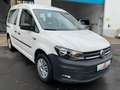 Volkswagen Caddy 2.0 TDI Navi Klima Tempomat PDC SHZ Weiß - thumbnail 3