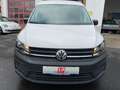 Volkswagen Caddy 2.0 TDI Navi Klima Tempomat PDC SHZ Weiß - thumbnail 2
