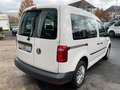 Volkswagen Caddy 2.0 TDI Navi Klima Tempomat PDC SHZ Weiß - thumbnail 5