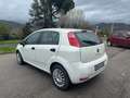 Fiat Punto Punto 5p 1.2 Street E6 ok neo patentati Blanc - thumbnail 4