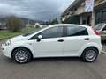 Fiat Punto Punto 5p 1.2 Street E6 ok neo patentati Blanc - thumbnail 3
