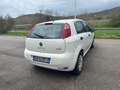 Fiat Punto Punto 5p 1.2 Street E6 ok neo patentati Blanc - thumbnail 5