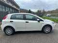 Fiat Punto Punto 5p 1.2 Street E6 ok neo patentati Blanc - thumbnail 7