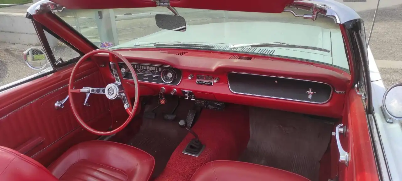 Ford Mustang 289, foto 8