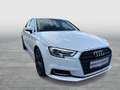 Audi A3 SB 1.6 TDI intense Weiß - thumbnail 3