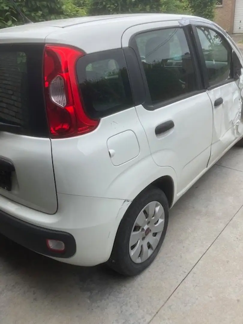 Fiat Panda Panda 1.2 Easy Wit - 2