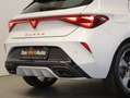 CUPRA Leon 1.5 eTSI DSG Weiß - thumbnail 10