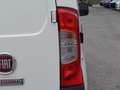 Fiat Fiorino 1.3MultiJet - GPS - Attelage Blanc - thumbnail 20