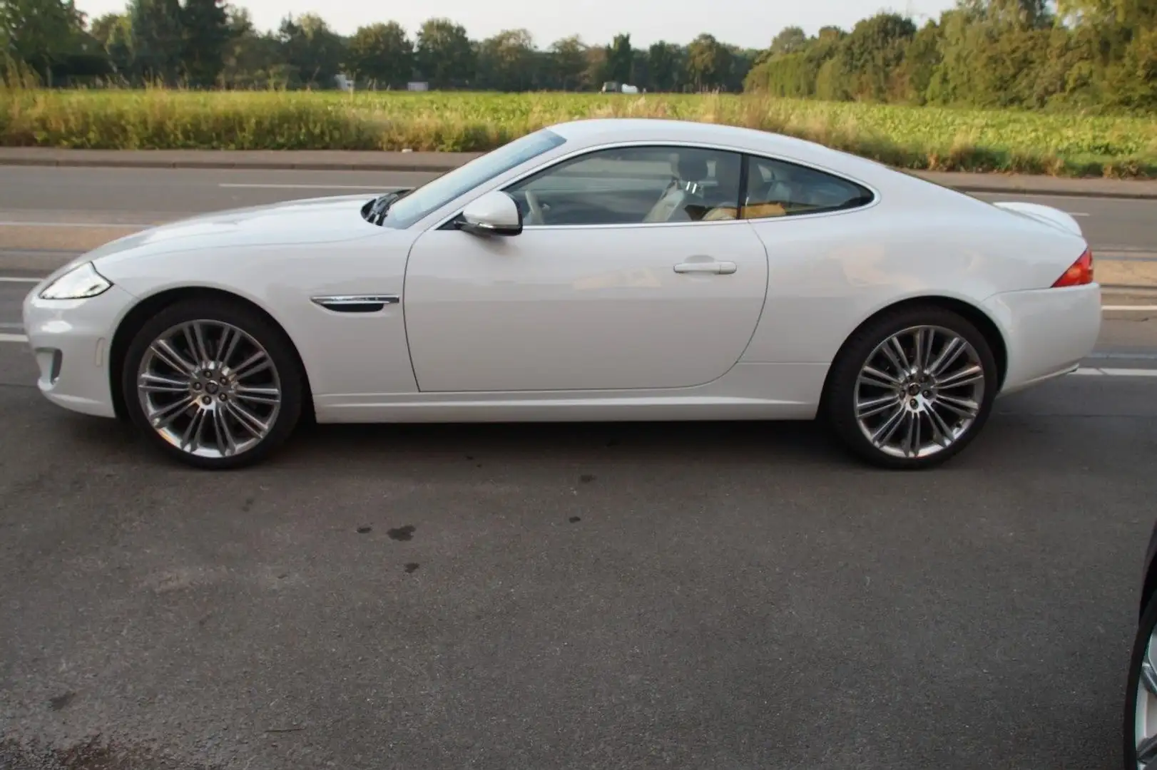 Jaguar XK Coupe /  5.0 V8*3HD*NEUWERTIGER ZUST Weiß - 1