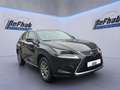 Lexus NX 300 h Amazing Edition*LED*SHZ*PDC* Noir - thumbnail 5
