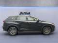 Lexus NX 300 h Amazing Edition*LED*SHZ*PDC* Noir - thumbnail 15