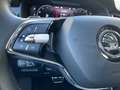 Skoda Kodiaq 4x4 L&K 2.0 TDI AHK Pano Navi 360 Grad Di Blau - thumbnail 21