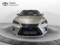 Lexus NX 300 NX Hybrid 4WD Premium Gris - thumbnail 4