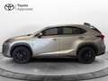 Lexus NX 300 NX Hybrid 4WD Premium Gris - thumbnail 3