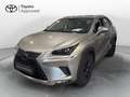 Lexus NX 300 NX Hybrid 4WD Premium Gris - thumbnail 1