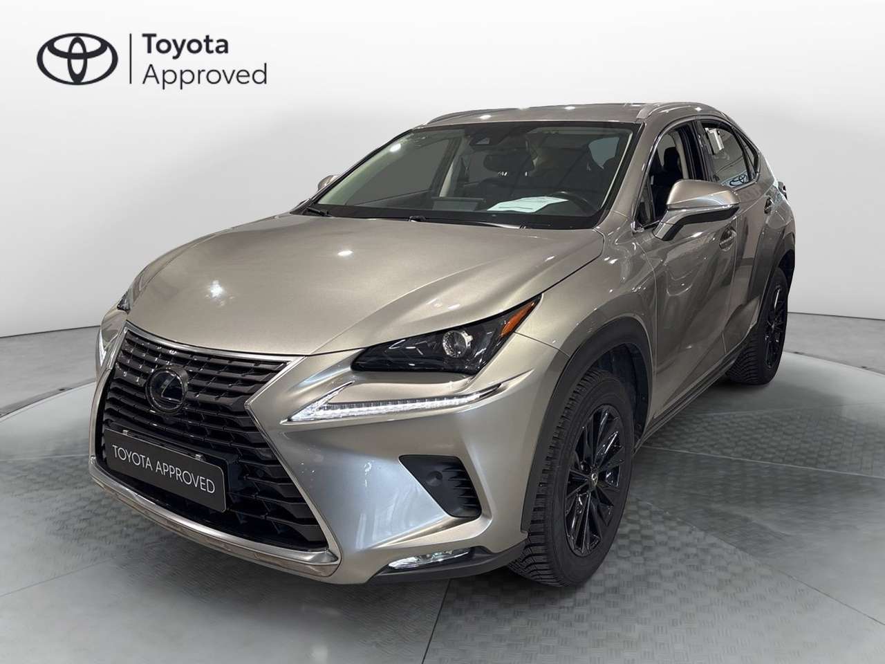 Lexus NX 300 NX Hybrid 4WD Premium