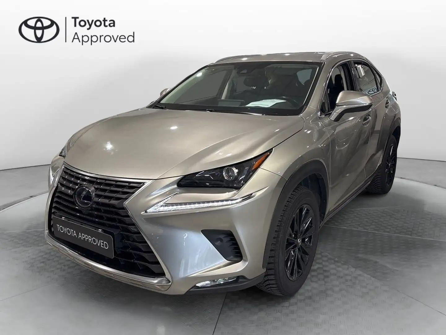 Lexus NX 300 NX Hybrid 4WD Premium Gris - 1