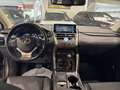 Lexus NX 300 NX Hybrid 4WD Premium Gris - thumbnail 9