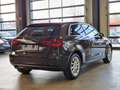 Audi A3 XENON SITZHZ PDC AHK TEMPOMAT TÜV+SERV NEU Braun - thumbnail 5
