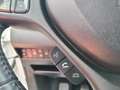 Suzuki Baleno 1.2 Hybrid B-Top Bianco - thumbnail 13