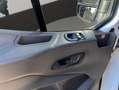 Ford Transit 350 96kW L4H3 Van Trend RWD Blanco - thumbnail 9