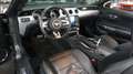 Ford Mustang 2.3 EcoBoost Cabrio*Xenon*Leder*Aut Gris - thumbnail 6