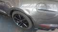 Ford Mustang 2.3 EcoBoost Cabrio*Xenon*Leder*Aut Gris - thumbnail 13