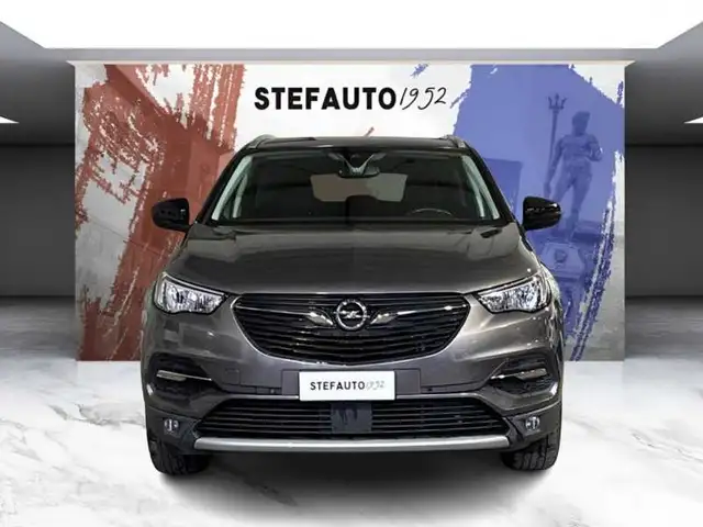 Opel Grandland X view 2