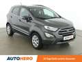 Ford EcoSport 1.5 EcoBlue TDCi Titanium *TEMPO*CAM*TOT*NAVI* Grau - thumbnail 8