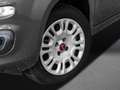 Fiat Panda 1.2 8V Easy Klima+PDC+8-fach Szürke - thumbnail 8