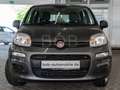 Fiat Panda 1.2 8V Easy Klima+PDC+8-fach Szürke - thumbnail 10
