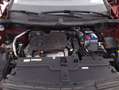 Opel Grandland X Business 1.5 Diesel 131CV Red - thumbnail 13