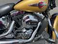 Harley-Davidson FLSTC Heritage Softtail Classic, BEST PRICE! Gold - thumbnail 6
