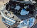 Mercedes-Benz B 180 Autotr 2.Hand Aktiver Parkassistent 70tkm Negro - thumbnail 19